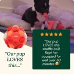 Reggie Snuffle Ball for Dogs | Interactive Treat Dispensing Dog Enrichment Toys | Reduces Boredom, Stress & Hyperactivity | Snuffle Toys for Dogs | Washable Dog Puzzle Toy I Red - Image 8