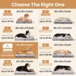 OhGeni Orthopedic Large Dog Bed, Reversible Memory Foam, 41 inch-XL(Gray) - Image 5