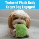 SPOT Gigglers Hedgehog Dog Toy with Giggle Sound | Textured, Plush Shake and Wiggle Hedgehog Giggle Toy for Small and Medium Dog Breeds, Assorted Colors - Image 5