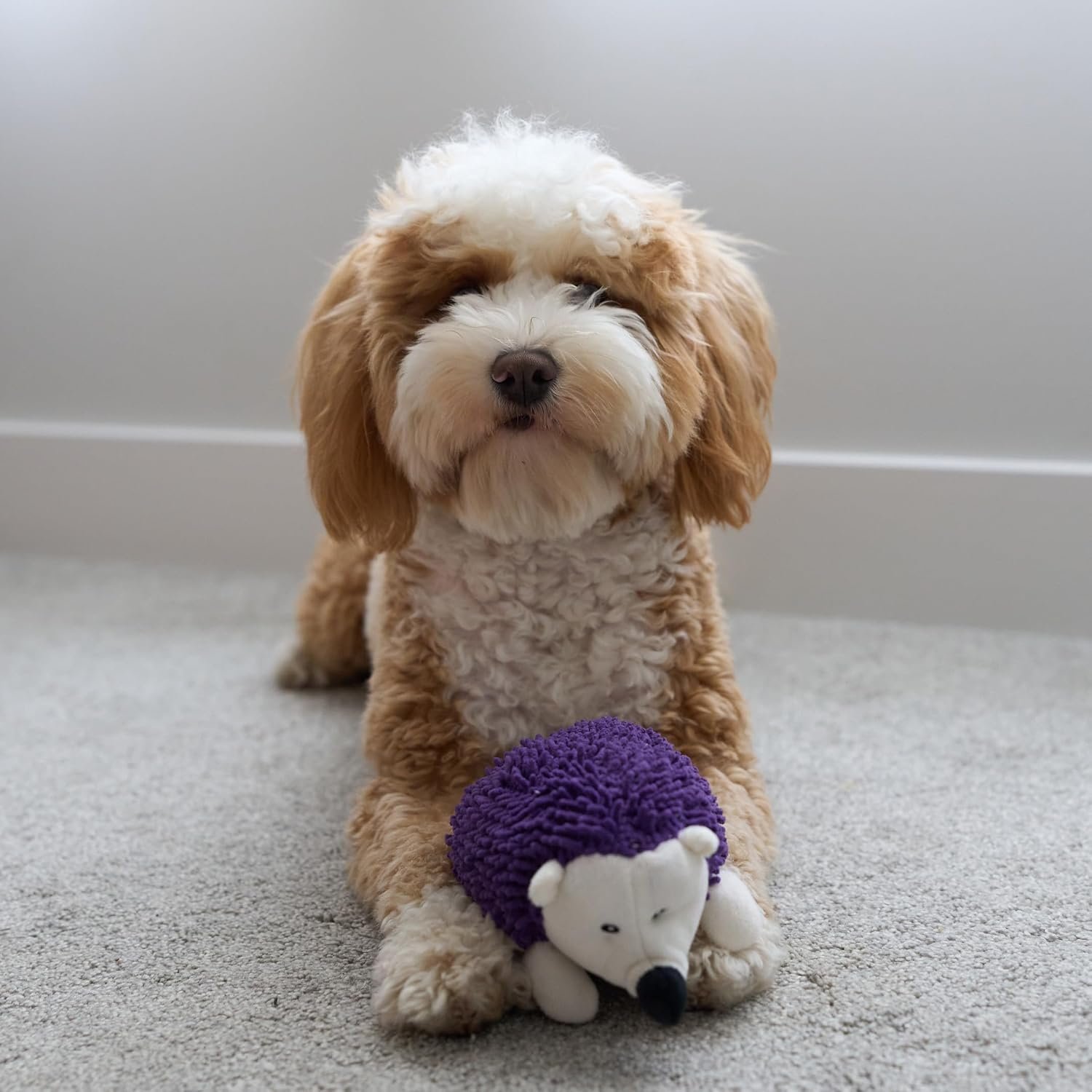 SPOT Gigglers Hedgehog Dog Toy with Giggle Sound | Textured, Plush Shake and Wiggle Hedgehog Giggle Toy for Small and Medium Dog Breeds, Assorted Colors - Image 7