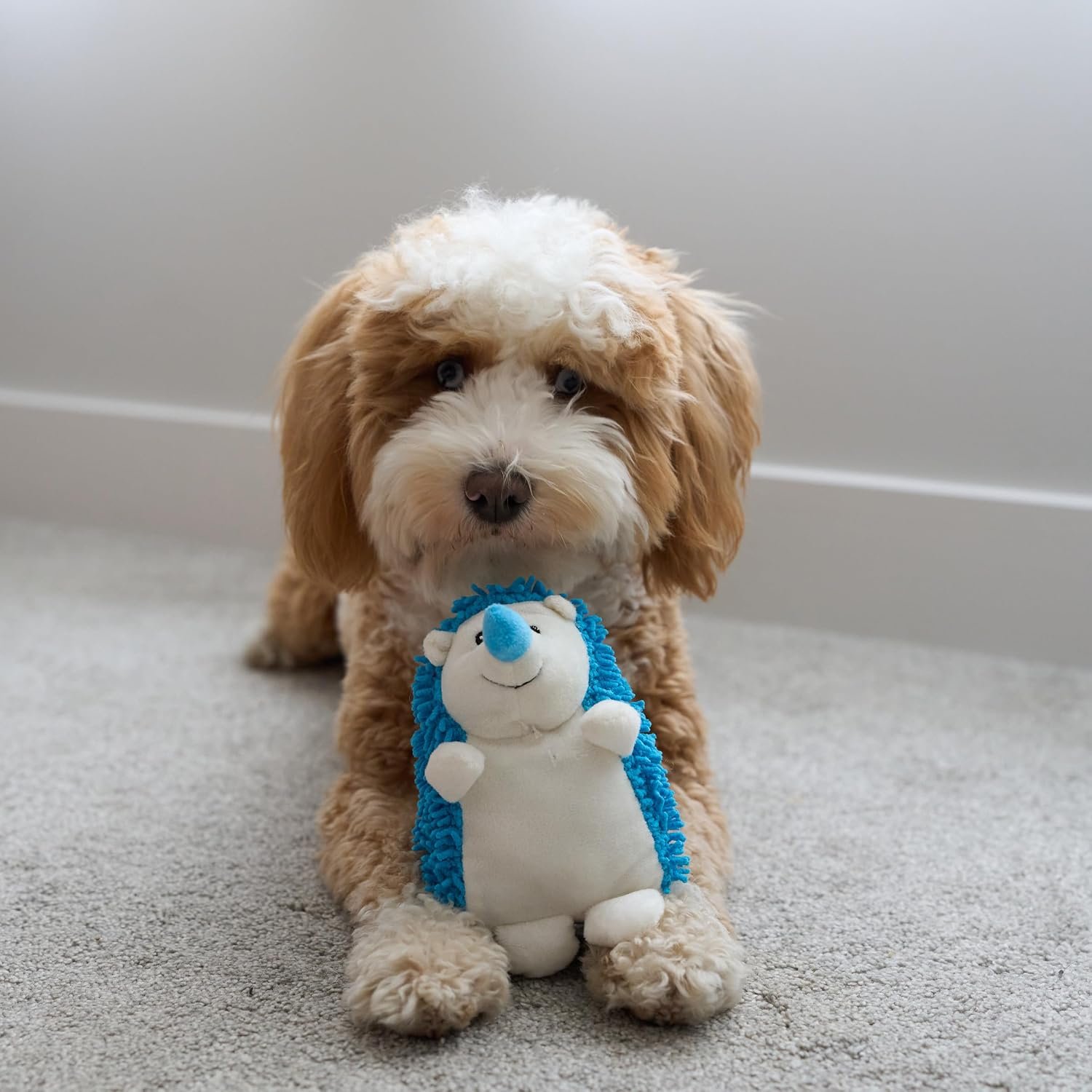 SPOT Gigglers Hedgehog Dog Toy with Giggle Sound | Textured, Plush Shake and Wiggle Hedgehog Giggle Toy for Small and Medium Dog Breeds, Assorted Colors - Image 8