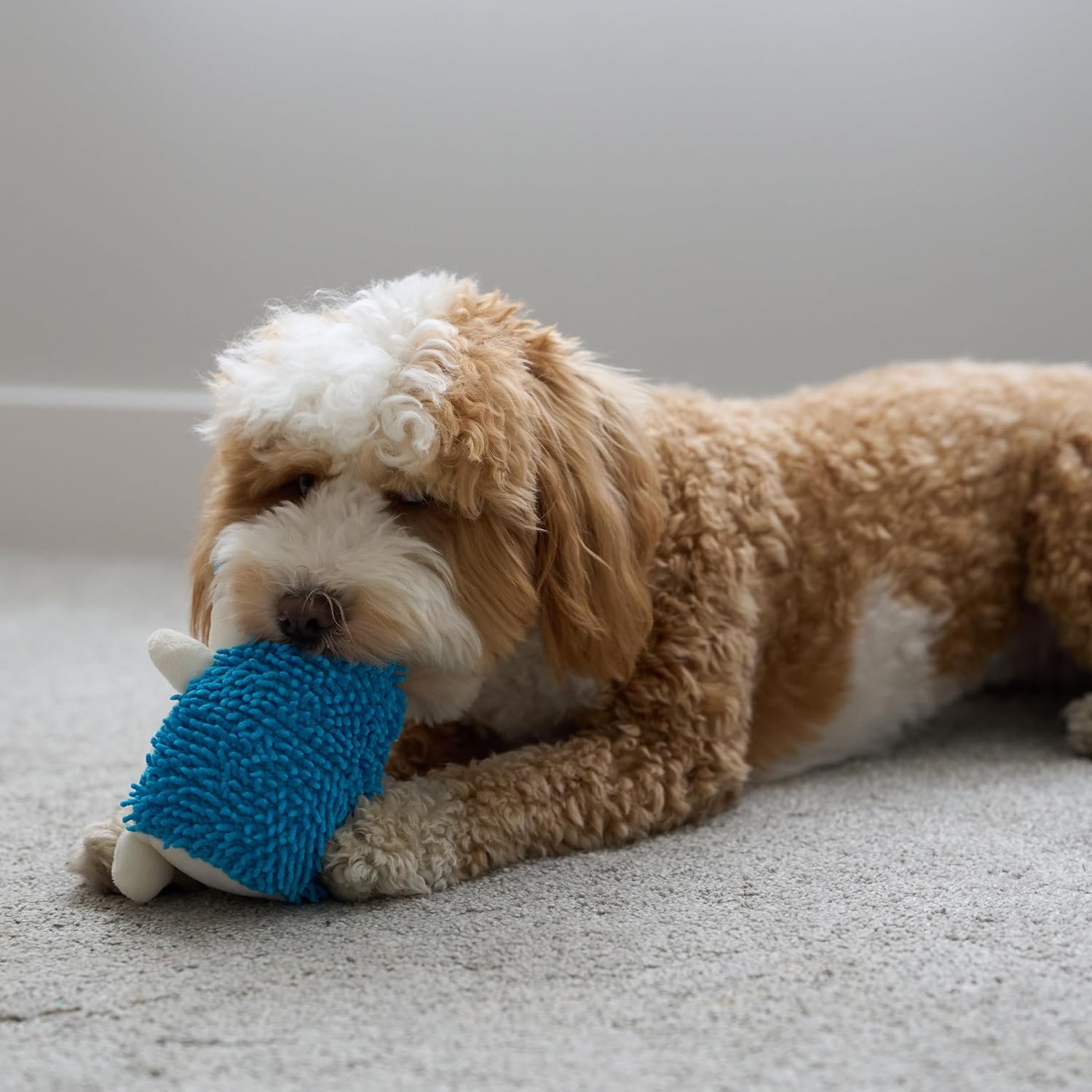 SPOT Gigglers Hedgehog Dog Toy with Giggle Sound | Textured, Plush Shake and Wiggle Hedgehog Giggle Toy for Small and Medium Dog Breeds, Assorted Colors - Image 10