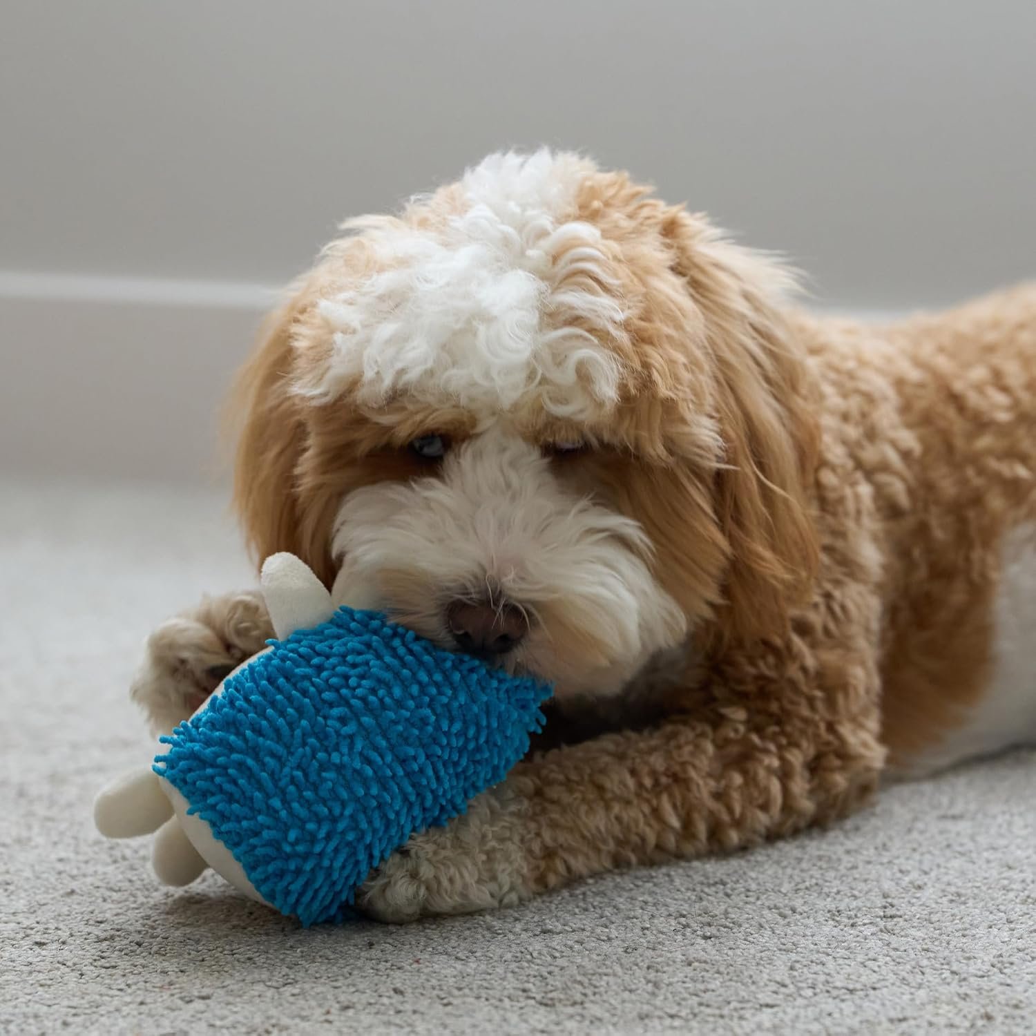 SPOT Gigglers Hedgehog Dog Toy with Giggle Sound | Textured, Plush Shake and Wiggle Hedgehog Giggle Toy for Small and Medium Dog Breeds, Assorted Colors - Image 11