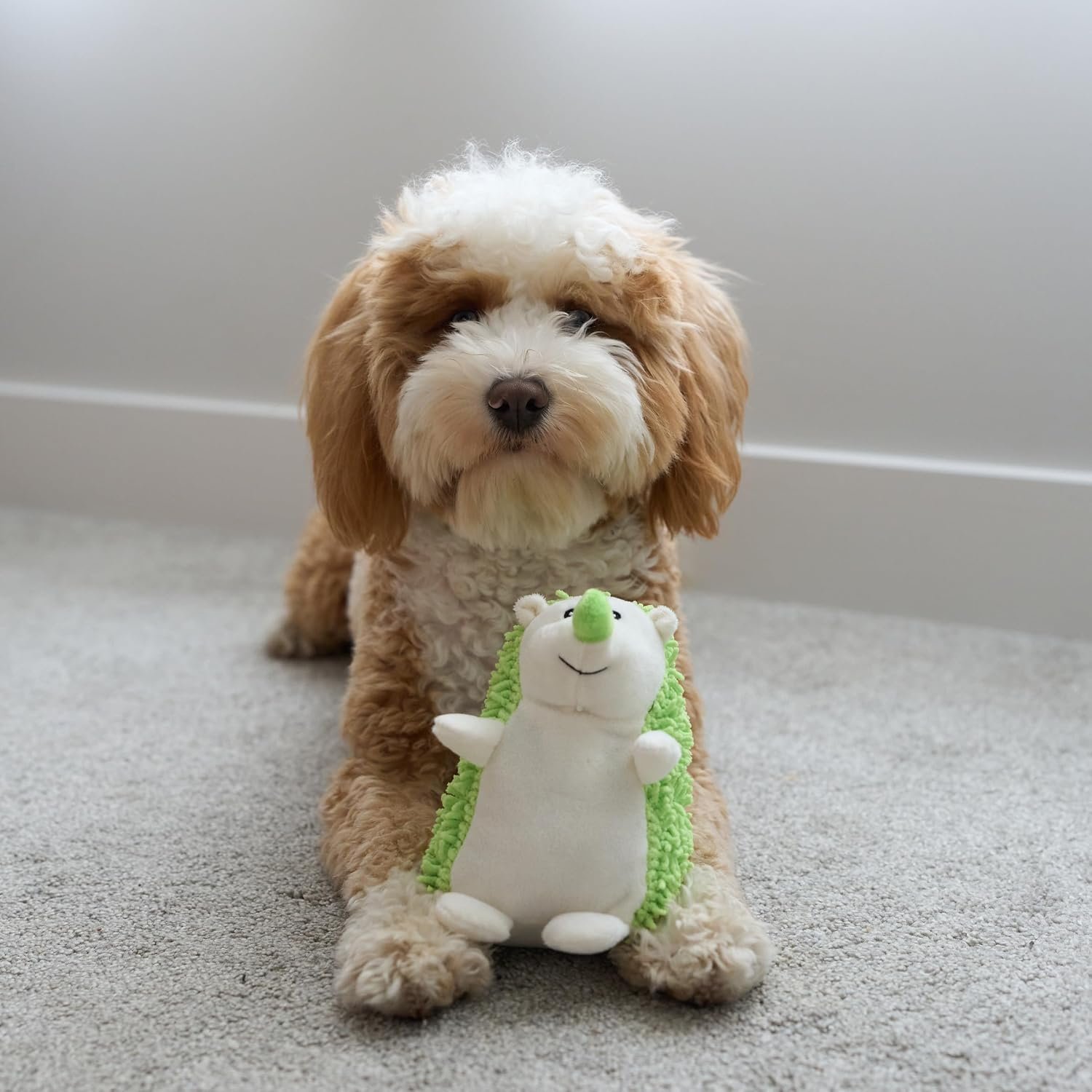 SPOT Gigglers Hedgehog Dog Toy with Giggle Sound | Textured, Plush Shake and Wiggle Hedgehog Giggle Toy for Small and Medium Dog Breeds, Assorted Colors - Image 13