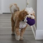 SPOT Gigglers Hedgehog Dog Toy with Giggle Sound | Textured, Plush Shake and Wiggle Hedgehog Giggle Toy for Small and Medium Dog Breeds, Assorted Colors - Image 13