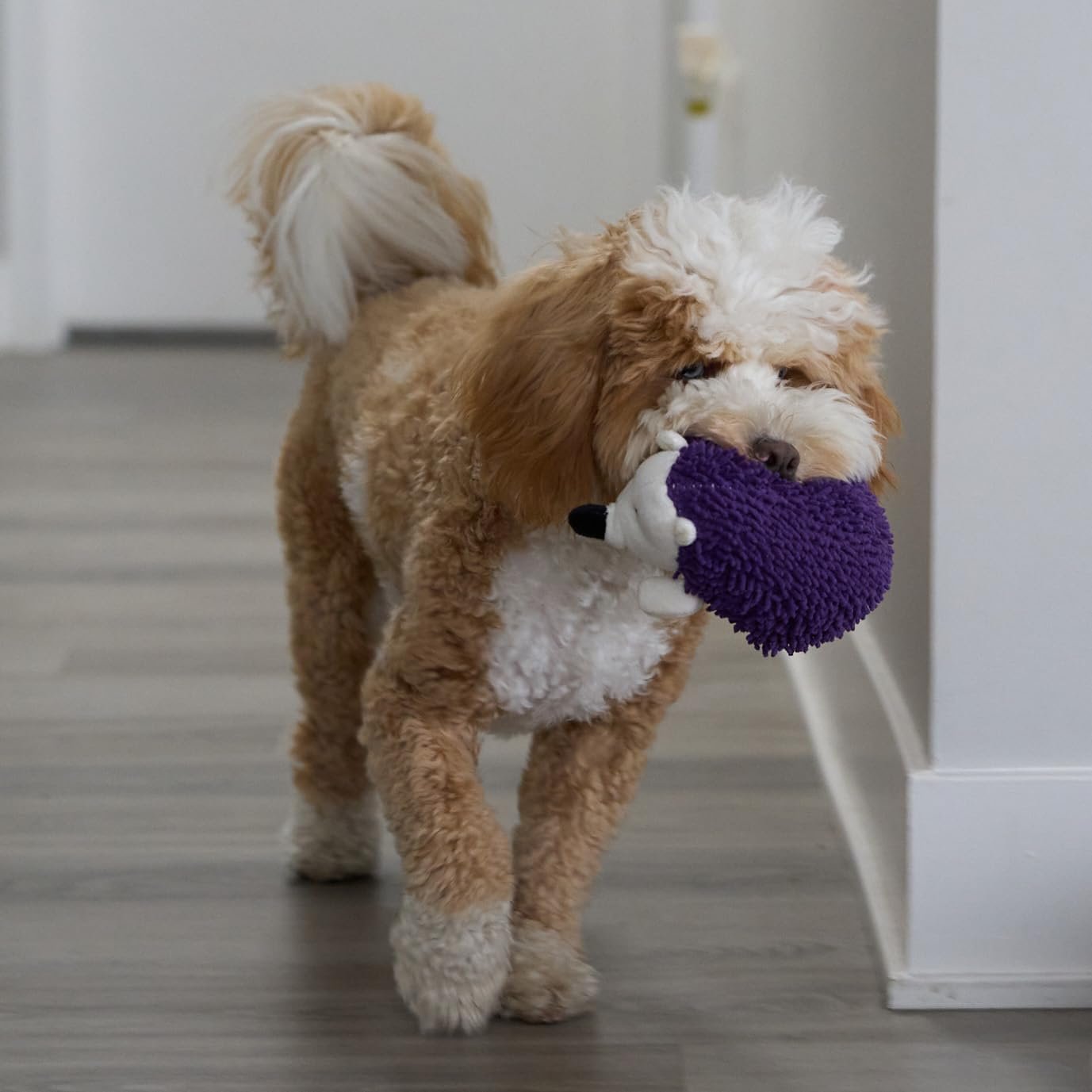 SPOT Gigglers Hedgehog Dog Toy with Giggle Sound | Textured, Plush Shake and Wiggle Hedgehog Giggle Toy for Small and Medium Dog Breeds, Assorted Colors - Image 14