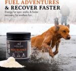 Alpha Dog Nutrition Electrolytes for Dogs - PhD Formulated Hydration Supplement with Beef Flavor for Active Canines - Versatile Powder for Dehydration Recovery and Stamina - Image 3