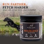 Alpha Dog Nutrition Electrolytes for Dogs - PhD Formulated Hydration Supplement with Beef Flavor for Active Canines - Versatile Powder for Dehydration Recovery and Stamina - Image 4
