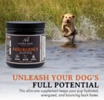 Alpha Dog Nutrition Electrolytes for Dogs - PhD Formulated Hydration Supplement with Beef Flavor for Active Canines - Versatile Powder for Dehydration Recovery and Stamina - Image 6