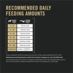 Purina Pro Plan Complete Essentials Lamb & Rice Dry Dog Food, 15 lb Bag - Image 9