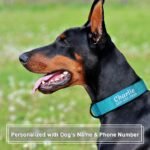 Personalized Tactical Dog Collar Custom with Name and Phone Number - Image 2