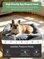 Spotted Play Orthopedic Dog Bed with Sides - Dog Sofa Beds for Medium Dogs, Supportive Foam Pet Couch Bed with Washable Removable Cover, Waterproof Lining and Non-Slip Bottom, Grey - M - Image 4