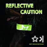 Reflective Dog Collar-Double Sided Star Reflective Pattern with High Visibility for Pets Safety, Attached Hanging Loop Pet Collars for Walking Hunting Training (Large, Orange&Green) - Image 5