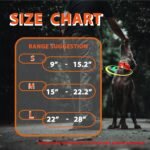 Reflective Dog Collar-Double Sided Star Reflective Pattern with High Visibility for Pets Safety, Attached Hanging Loop Pet Collars for Walking Hunting Training (Large, Orange&Green) - Image 7