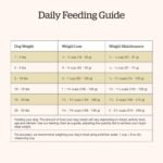 Now Fresh Good Gravy Small Breed Adult Dry Dog Food, Salmon, 12 lb - Image 7