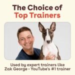 Pupford Freeze Dried Training Treats for Dogs & Puppies (Beef Liver, 4 oz) - Image 5