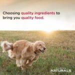 Diamond Naturals Large Breed Adult Dry Dog Food, Lamb Meal & Rice, 40lb - Image 4