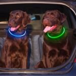 2 Packs Light Up Dog Collar, Kpuplol USB Rechargeable Dog Lights for Night - Image 6