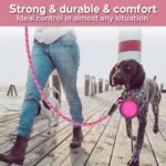 COOYOO 2 Pack Dog Leash 5 FT Heavy Duty - Comfortable Padded Handle - Reflective Dog Leash for Medium Large Dogs with Collapsible Pet Bowl - Image 3