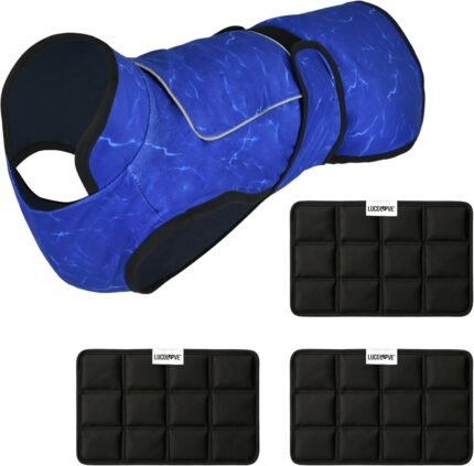 Dog Cooling Vest + 3 Ice Packs – 2-Layer Evaporative Cooling Jacket with High Collar, UV Protection & Size-Matched Ice Pack – Cooling Vest for Dogs for Hot Weather (Blue Aqua, Large)