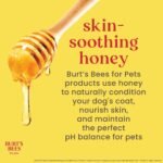 Burts Bees for Pets Oatmeal Dog Conditioner, Fragrance-Free, 10 Fl Oz - Image 3