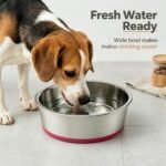 2 Pack Deep Stainless Steel Non-Skid Dog and Food Bowls, Each Holds Up to 4 Cups - Image 7