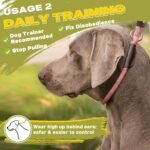 Fida Durable Slip Lead Dog Leash, 6 FT x 1/2" Dog Training Leash, Pink - Image 5