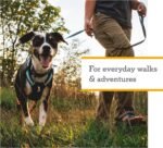 Ruffwear, Hi & Light Dog Chest Harness, Basalt Gray, X-Small - Image 3