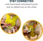 Ruffwear, Hi & Light Dog Chest Harness, Basalt Gray, X-Small - Image 5