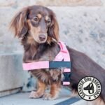 Dog Friendly Co. Dog Harness for Large Dogs (Pink, Large) - Image 5