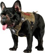 OneTigris Tactical Dog Harness with Handle No-Pull Adjustable for Small Dog - Image 5