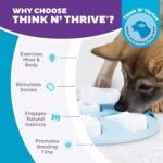 Outward Hound by Nina Ottosson Puppy Smart Treat Puzzle Enrichment Toy, Level 1 Beginner, Blue - Image 6
