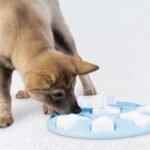 Outward Hound by Nina Ottosson Puppy Smart Treat Puzzle Enrichment Toy, Level 1 Beginner, Blue - Image 8