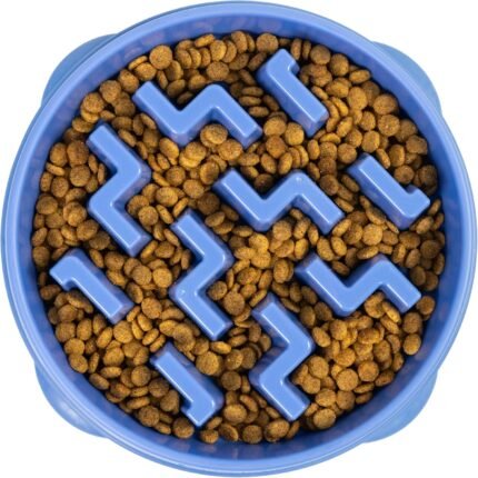 Outward Hound Fun Feeder Slo Bowl Dog Slow Feeder, Notch, Blue, 11.8"