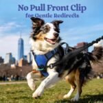 rabbitgoo Dog Harness Small Sized, Updated Easy On & Off with 3 Buckles - Image 4