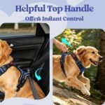 rabbitgoo Dog Harness Small Sized, Updated Easy On & Off with 3 Buckles - Image 6