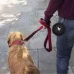 Rest-Eazzzy Collapsible Dog Bowls, 2 Pack Sturdy Portable Dog Water Bowls - Image 7