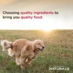 Diamond Naturals Skin & Coat Puppy, Adult & Senior Dry Dog Food Salmon 30lb - Image 5
