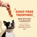 Pur Luv Dog Treats, Chicken Jerky Dog Treat with Real Chicken Breast, 16 oz - Image 7
