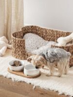LE TAUCI PET Dog Bowl Ceramic Set with Acacia Wood Tray, 2 Cup Food Bowl + 17 oz Water Bowl, Weighted Non-Slip Feeding Station for Small Dogs & Cats - Image 3