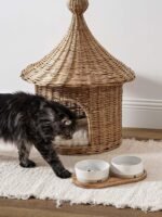 LE TAUCI PET Dog Bowl Ceramic Set with Acacia Wood Tray, 2 Cup Food Bowl + 17 oz Water Bowl, Weighted Non-Slip Feeding Station for Small Dogs & Cats - Image 9