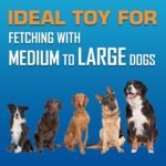 Nerf Dog Tire Flyer Dog Toy Gift Set, 10 Inch Flying Disc Dog Fetch Toys, Rubber Dog Toy for Medium Dogs and Large Dogs, Red, Translucent Green and Translucent Blue, 3 Count - Image 6
