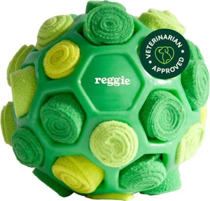 Reggie Snuffle Ball for Dogs | Interactive Treat Dispensing Dog Enrichment Toys | Reduces Boredom, Stress & Hyperactivity | Snuffle Toys for Dogs | Washable Dog Puzzle Toy I Green