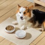 MALACASA Dog Bowls, Ceramic Dog Food and Water Bowls for Small Size Dogs, 1.5 Cups Capacity Pet Bowl for Puppy & Cats (S-1.5 Cups) - Image 8
