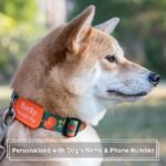 Personalized Floral Dog Collar with Name and Phone Number - Image 2