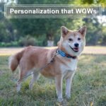 Personalized Floral Dog Collar with Name and Phone Number - Image 4