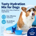 LYX Hydration Dog Electrolytes Water Enhancer, Chicken, 7-Count - Image 5