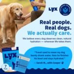 LYX Hydration Dog Electrolytes Water Enhancer, Chicken, 7-Count - Image 7