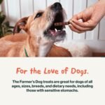 The Farmer's Dog Snap Sticks, Human Grade Dog Treats, Pork & Pear 3oz - Image 8