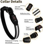 LED Dog Collar - Light Up Dog Collar USB Rechargeable, 7 Color Changing Waterproof Glowing Collar with 500m Visibility, Reflective Nylon Adjustable Safe Collar for Night Walking Dogs M - Image 3